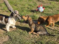 processed/6da1d21f-319c-48d9-958b-e18514df683c/facility/07c6013a-b9cd-487c-868e-bd2894b18ed2