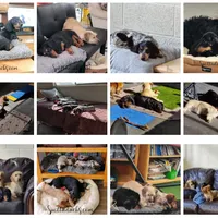 processed/6da1d21f-319c-48d9-958b-e18514df683c/facility/09e34da4-f7fc-4680-8995-b94e50b4de3c