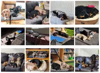 processed/6da1d21f-319c-48d9-958b-e18514df683c/facility/09e34da4-f7fc-4680-8995-b94e50b4de3c