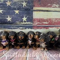 processed/6da1d21f-319c-48d9-958b-e18514df683c/facility/18a28ee0-9335-453c-90f1-f16b1b13844d