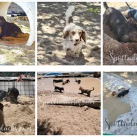 processed/6da1d21f-319c-48d9-958b-e18514df683c/facility/429e1ff3-ea5e-46be-8d82-6fd557362ca8