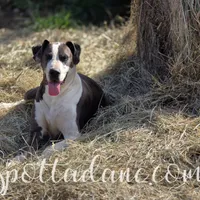 processed/6da1d21f-319c-48d9-958b-e18514df683c/facility/5afc77de-430c-432c-8f34-62dfcbb616a7