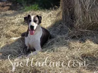 processed/6da1d21f-319c-48d9-958b-e18514df683c/facility/5afc77de-430c-432c-8f34-62dfcbb616a7