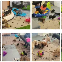 processed/6da1d21f-319c-48d9-958b-e18514df683c/facility/78532124-76d2-46ec-a874-e3bf4017c388