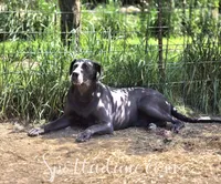 processed/6da1d21f-319c-48d9-958b-e18514df683c/facility/83122a8f-dfea-40c3-b624-178f65ce1d7d