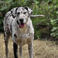 processed/6da1d21f-319c-48d9-958b-e18514df683c/facility/ee8887e3-d276-4702-a1c4-1f7130e88f05