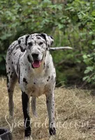 processed/6da1d21f-319c-48d9-958b-e18514df683c/facility/ee8887e3-d276-4702-a1c4-1f7130e88f05