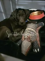 processed/6da1d21f-319c-48d9-958b-e18514df683c/listing/74333fb3-0ef8-4c87-8e14-2f02ad8f8bcd/996384ae-83d1-4785-b547-8f5ce1f23057