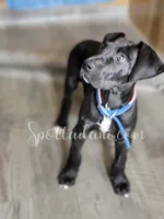 processed/6da1d21f-319c-48d9-958b-e18514df683c/listing/74333fb3-0ef8-4c87-8e14-2f02ad8f8bcd/dd32b2ef-9e8e-433a-922f-a3f9d08e9ae2