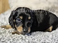 processed/6da1d21f-319c-48d9-958b-e18514df683c/listing/9924e162-ee7a-4f31-9b51-30d1ef8d2495/3f15c0fb-ceaf-4e15-8694-d6a0324921a6