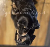 processed/6da1d21f-319c-48d9-958b-e18514df683c/listing/9924e162-ee7a-4f31-9b51-30d1ef8d2495/4d508813-996e-4fa5-b402-9d1ed382f03c