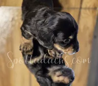 processed/6da1d21f-319c-48d9-958b-e18514df683c/listing/9924e162-ee7a-4f31-9b51-30d1ef8d2495/78aa2d70-6075-4723-afd8-0a42ad5c0cde