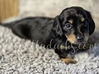 processed/6da1d21f-319c-48d9-958b-e18514df683c/listing/9924e162-ee7a-4f31-9b51-30d1ef8d2495/cca73f5a-a239-460c-aea4-62939940f538