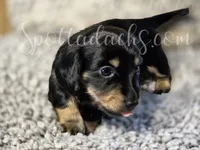 processed/6da1d21f-319c-48d9-958b-e18514df683c/listing/9924e162-ee7a-4f31-9b51-30d1ef8d2495/f22cc9da-34b2-43d9-bbe0-9c4a4df8f03d