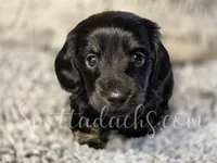 processed/6da1d21f-319c-48d9-958b-e18514df683c/listing/eb20251a-1f08-4806-a9e8-3d365333268f/087e69e2-72eb-4973-a9da-5d515812c01a