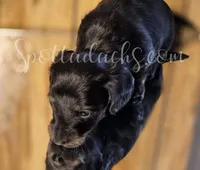 processed/6da1d21f-319c-48d9-958b-e18514df683c/listing/eb20251a-1f08-4806-a9e8-3d365333268f/21379075-4afe-432b-884e-8a1ac17b4536