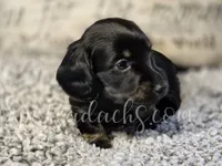 processed/6da1d21f-319c-48d9-958b-e18514df683c/listing/eb20251a-1f08-4806-a9e8-3d365333268f/a411d224-0d06-4dc9-af69-3ef4759b01dd