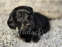 processed/6da1d21f-319c-48d9-958b-e18514df683c/listing/eb20251a-1f08-4806-a9e8-3d365333268f/b1d22e7b-a885-4bcb-9438-28ae81b1dfba