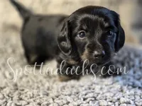 processed/6da1d21f-319c-48d9-958b-e18514df683c/listing/eb20251a-1f08-4806-a9e8-3d365333268f/cce9e36b-519d-4114-95ba-745637031e8a