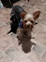 processed/6da81251-7720-4bb2-8ccf-f5bb1d2dd056/listing/cd6454de-f1cd-4db2-a061-169e20a77d62/1493056b-b38b-4522-8265-ceb79e813651