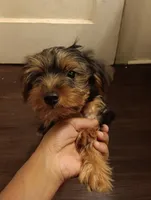 processed/6da81251-7720-4bb2-8ccf-f5bb1d2dd056/listing/cd6454de-f1cd-4db2-a061-169e20a77d62/8863f8b2-2300-428c-ba39-1fae032c4ea3