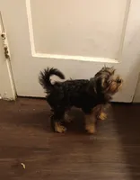 processed/6da81251-7720-4bb2-8ccf-f5bb1d2dd056/listing/cd6454de-f1cd-4db2-a061-169e20a77d62/c079d2de-683e-4e92-9c8f-f198e43780b9