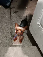 processed/6da81251-7720-4bb2-8ccf-f5bb1d2dd056/listing/cd6454de-f1cd-4db2-a061-169e20a77d62/d0784438-c83f-4a87-8dfc-03c55643582b