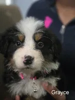 processed/6da86d1e-dca0-4fa4-a219-22e6522efea5/facility/91d32e24-fba2-4c5e-874a-f7d192785e5c