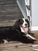 processed/6da86d1e-dca0-4fa4-a219-22e6522efea5/listing/c98b246f-40a5-4981-b128-769ac4c16c73/0f03d571-a4e9-43cc-baf0-0683253a7b62