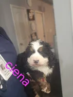 processed/6da86d1e-dca0-4fa4-a219-22e6522efea5/listing/f6e89392-c790-466b-a0ba-e06c63899180/4011c195-7f66-4b4c-9cd0-5f4e10a9a554