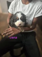 processed/6da86d1e-dca0-4fa4-a219-22e6522efea5/listing/f6e89392-c790-466b-a0ba-e06c63899180/8e6f7fa9-c292-4a54-a354-23b15396c3ab