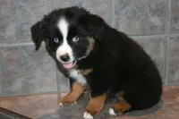 processed/6daabe87-be9c-4f01-99eb-bda234a5f2a0/listing/40b24587-c348-45b5-83c8-5ba4db3e975d/eb005d36-1298-4070-b8d4-14fb53ee95e7