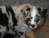 processed/6daabe87-be9c-4f01-99eb-bda234a5f2a0/listing/58997e0e-ffca-4179-af01-7c9f666d1ac4/2b0a1e8c-b82b-42cf-bb58-aa3f6e3f5f32