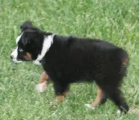 processed/6daabe87-be9c-4f01-99eb-bda234a5f2a0/listing/899b8a2b-6459-444f-883f-aecda682addb/7c40dbf1-6cc3-410c-86f9-7d7ca7fb66d8