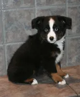 processed/6daabe87-be9c-4f01-99eb-bda234a5f2a0/listing/899b8a2b-6459-444f-883f-aecda682addb/9201862d-bf48-482a-96e4-374fd474d98d