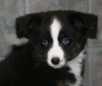 processed/6daabe87-be9c-4f01-99eb-bda234a5f2a0/listing/899b8a2b-6459-444f-883f-aecda682addb/b47edf3d-dad5-4e0c-9490-94b853b39e3f