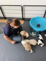 processed/6db19c88-e0ca-4db2-bdeb-a6d7eca43a25/facility/614b6e3a-7807-4662-b545-bdff5c9ae073