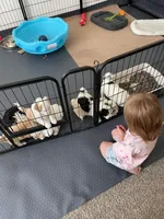 processed/6db19c88-e0ca-4db2-bdeb-a6d7eca43a25/facility/f0708c73-7c45-465f-9783-91d0e1bd5784