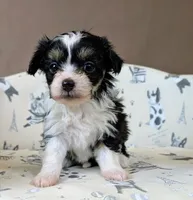 processed/6db19c88-e0ca-4db2-bdeb-a6d7eca43a25/listing/b0ef1f2d-e768-450c-b89d-f06ac9f3a48d/4d7126e0-3704-43a3-a5fd-55b8293b2e7b