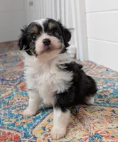 processed/6db19c88-e0ca-4db2-bdeb-a6d7eca43a25/listing/b0ef1f2d-e768-450c-b89d-f06ac9f3a48d/77f57041-0826-429f-af08-c4beb1c67aa5