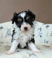 processed/6db19c88-e0ca-4db2-bdeb-a6d7eca43a25/listing/b0ef1f2d-e768-450c-b89d-f06ac9f3a48d/9a66cc75-8058-4e72-baae-c1f045945282