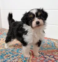 processed/6db19c88-e0ca-4db2-bdeb-a6d7eca43a25/listing/b0ef1f2d-e768-450c-b89d-f06ac9f3a48d/e2959b2f-33b7-4d60-927e-98fb479e5b26