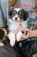 processed/6db19c88-e0ca-4db2-bdeb-a6d7eca43a25/listing/b0ef1f2d-e768-450c-b89d-f06ac9f3a48d/f7929b37-b487-4ab1-8608-d4772bc0c46e