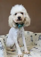 processed/6db19c88-e0ca-4db2-bdeb-a6d7eca43a25/listing/b593d28c-a5a9-4395-a362-e26933584530/03aa80f8-a293-4f6b-a3bc-179b21e63ec7