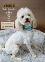 processed/6db19c88-e0ca-4db2-bdeb-a6d7eca43a25/listing/b593d28c-a5a9-4395-a362-e26933584530/7ef4f955-95d9-4336-a609-c8913ed5aa43