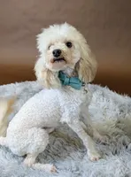 processed/6db19c88-e0ca-4db2-bdeb-a6d7eca43a25/listing/b593d28c-a5a9-4395-a362-e26933584530/7f331e86-ce48-4a97-aa24-5b41f8b878f7