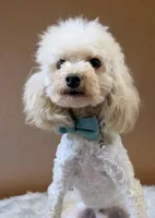 processed/6db19c88-e0ca-4db2-bdeb-a6d7eca43a25/listing/b593d28c-a5a9-4395-a362-e26933584530/8c1e2386-3258-4bbd-bc72-af5a3711318b