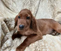 processed/6db752a8-62e3-4519-a562-a8f266346684/listing/900e0b3b-300c-4bcf-8308-6067515cc84e/2ab915ff-a338-4b3f-a8ae-2e5c6dd27e6c