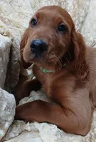 processed/6db752a8-62e3-4519-a562-a8f266346684/listing/df27a38d-639c-4e1c-bc2f-9aeda46c54b1/1eda4766-e2ff-47dc-bdce-feeaf1238546