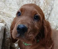 processed/6db752a8-62e3-4519-a562-a8f266346684/listing/df27a38d-639c-4e1c-bc2f-9aeda46c54b1/713e31b6-964c-4add-b840-e5c7b6ec4e52